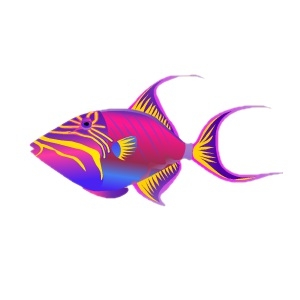 Vibrant Queen Triggerfish